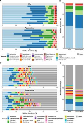 The skin microbiome as a new potential biomarker in the domestication and health status of Octopus vulgaris